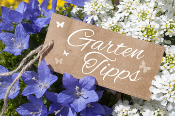Frühlingsblumen mit Schild Label Gartentipps Gartensaison