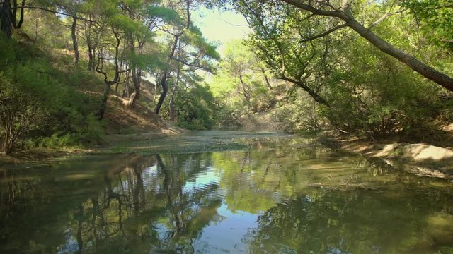 river in a forest (Seven springs, Epta piges) in Rhodes, Greece.