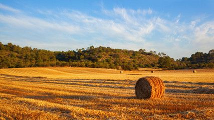 Stack of hay
