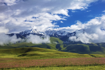 Fototapeta na wymiar Snow-covered mountains and green meadows. Beautiful Kyrgyzstan.
