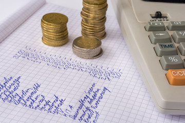 Mit dem Geld wirtschaften