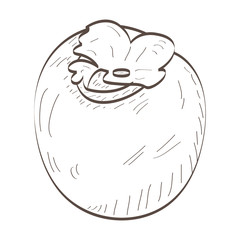 Isolated outline of a fruit, Vector illustration