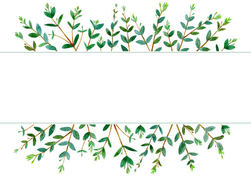 Frame of a eucalyptus branches.green floral border.postcard.watercolor hand drawn illustration.