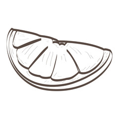 Isolated outline of an orange cut, Vector illustration