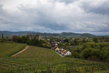 Schlossruine Burkheim am Kaiserstuhl