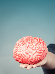Woman hand holding brain
