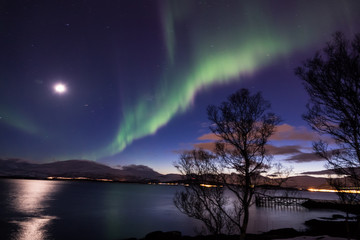 Naklejka na ściany i meble Northern Lights near Tromsø