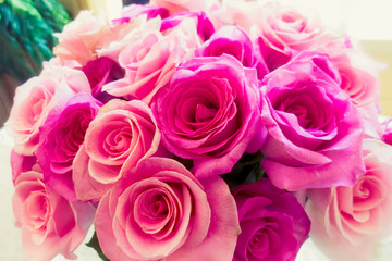 Arrangement Red and Pink Roses in a Vase