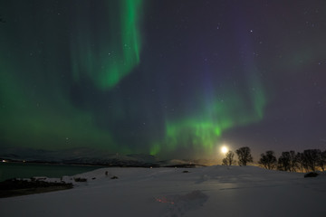 Fototapeta na wymiar Northern Lights near Tromsø