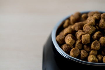 Dog, Cat Food in Bowl