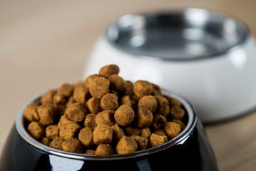 Dog, Cat Food in Bowl