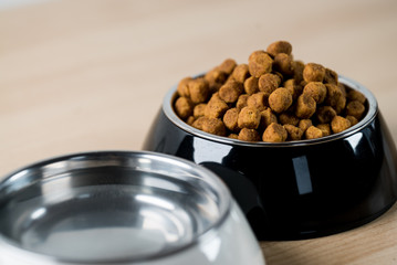 Dog, Cat Food in Bowl