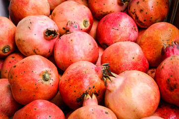  pomegranate