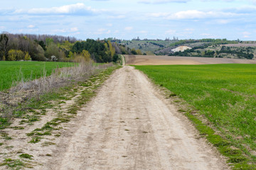 Fototapeta na wymiar dirt field road. village style. green grass and blue sky