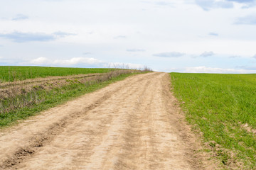 Fototapeta na wymiar dirt field road. village style. green grass and blue sky