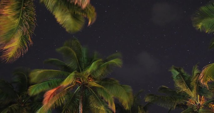 Agonda Beach Stars Time Lapse