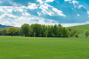 Spring landscape of the hills of southern tuscany