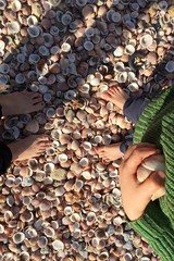 mother and son collecting seashells