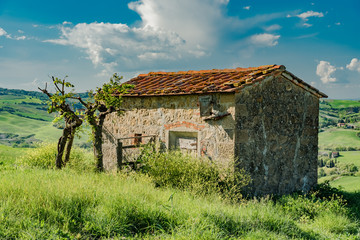 Spring landscapes in val d'orcia toscana italia