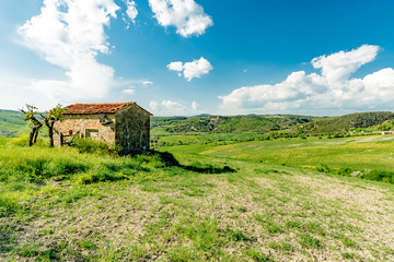 Spring landscapes in val d'orcia toscana italia
