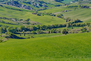 Fototapeta na wymiar Spring landscapes in val d'orcia toscana italia