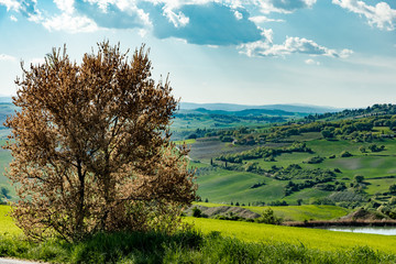 Panorama of tuscany in province of siena
