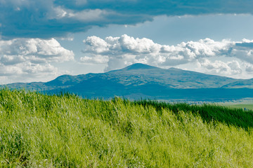 Panorama of green val d'orcia hills in tuscany italy in spring, land of red wine and cypresses