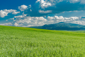 Spring in the valley of orcia to siena in the small center of montana and montalcino lands of brunello wine in tuscany italy