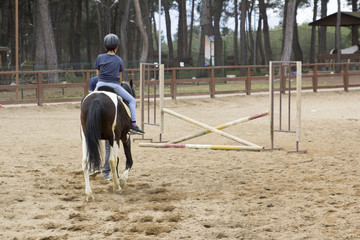 boy riding horse towards jump poles