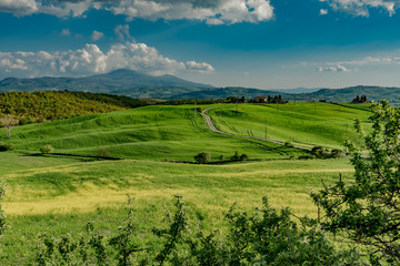 Fototapeta na wymiar stunning landscape of green hills of the Val d'Orcia in Tuscany, the land of wine brunello of the city of Siena and Montalcino