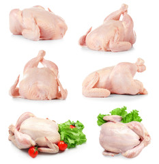 Different views of whole raw chicken on white background