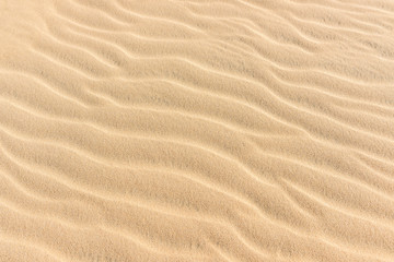Texture of the sand dune in the desert of Qatar