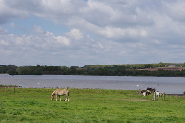 L'espace naturel