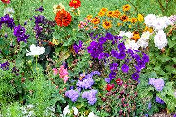 Flores en la Granja de San Idelfonso