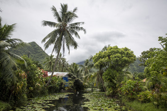 Cabin beside water in rural setting, mountains in background, Tahiti, South Pacific