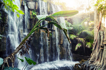 Beautiful waterfal in jungle or tropical forest. Very humid and warm climate with tropical plants. © kralovecphoto