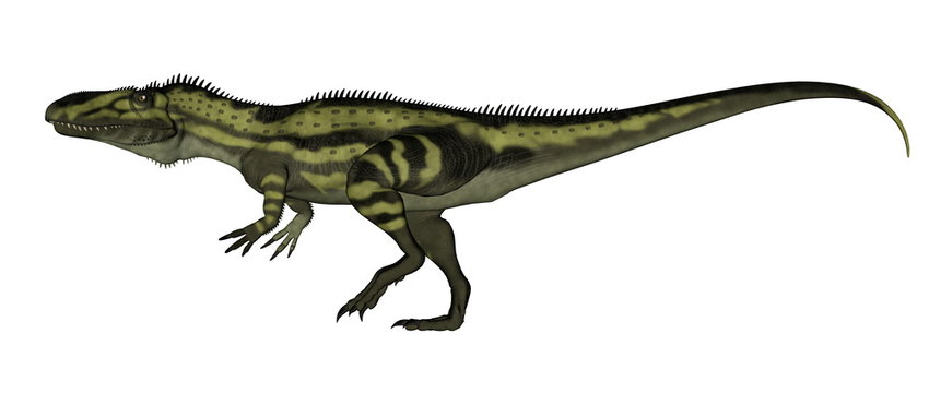 Torvosaurus dinosaurs walking - 3D render
