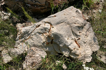 The iron ore (limonite) in the block of limestone in Tula region, Russia