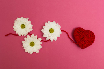 Fototapeta na wymiar Three white flowers and a red heart on a pink background.