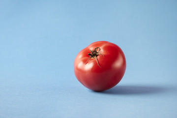 Fresh ripe red tomato on blue background, studio shot, empty space for layout. Healthy vegetarian concept, vegetables and fruits