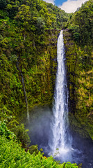 Hawaiian Waterfall