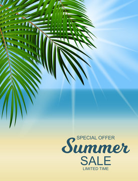Summer Sale Background Vector Illustration