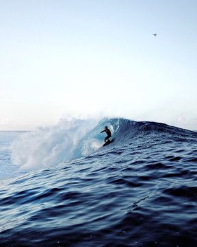 Person surfing in sea