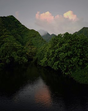 River in Tahiti with trees in the background