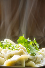 Hot dumplings with steam