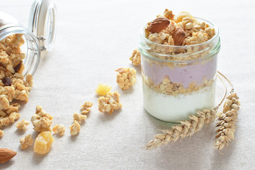 greek yogurt with fruit crunchy