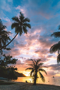 Beach, palm trees and sea at sunset, Mo'orea, South Pacific