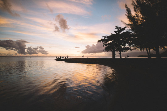 Silhouette of trees and people by sea at sunset, Tahiti, South Pacific 