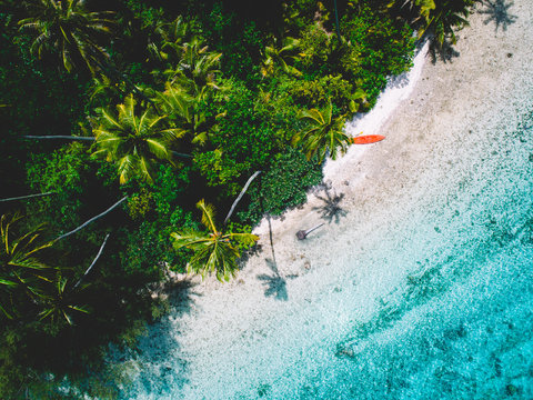 Orange colour canoe on beach by palm trees, aerial view, Mo'orea, South Pacific