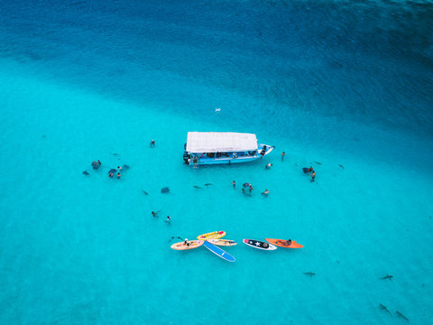 Group of people and stingrays in sea, aerial view, Mo'orea, South Pacific